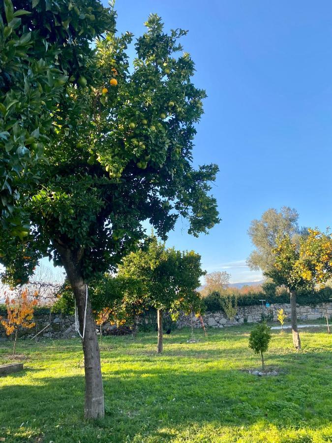 Apartment Quinta De Areias Crespos Zewnętrze zdjęcie